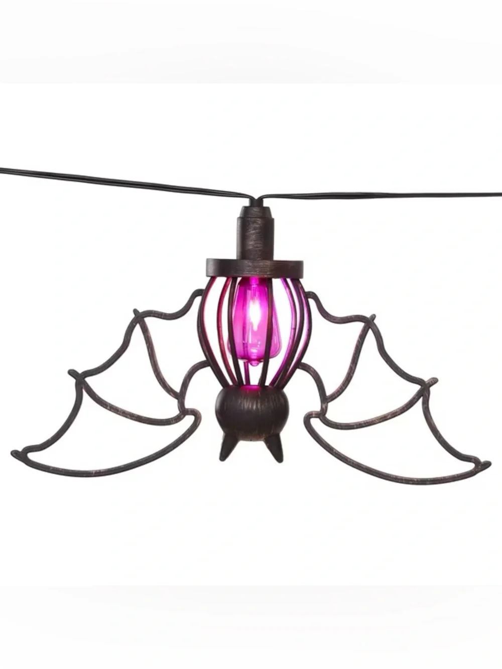 N/A spider or